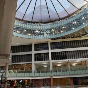 Suezcap gallery image 6